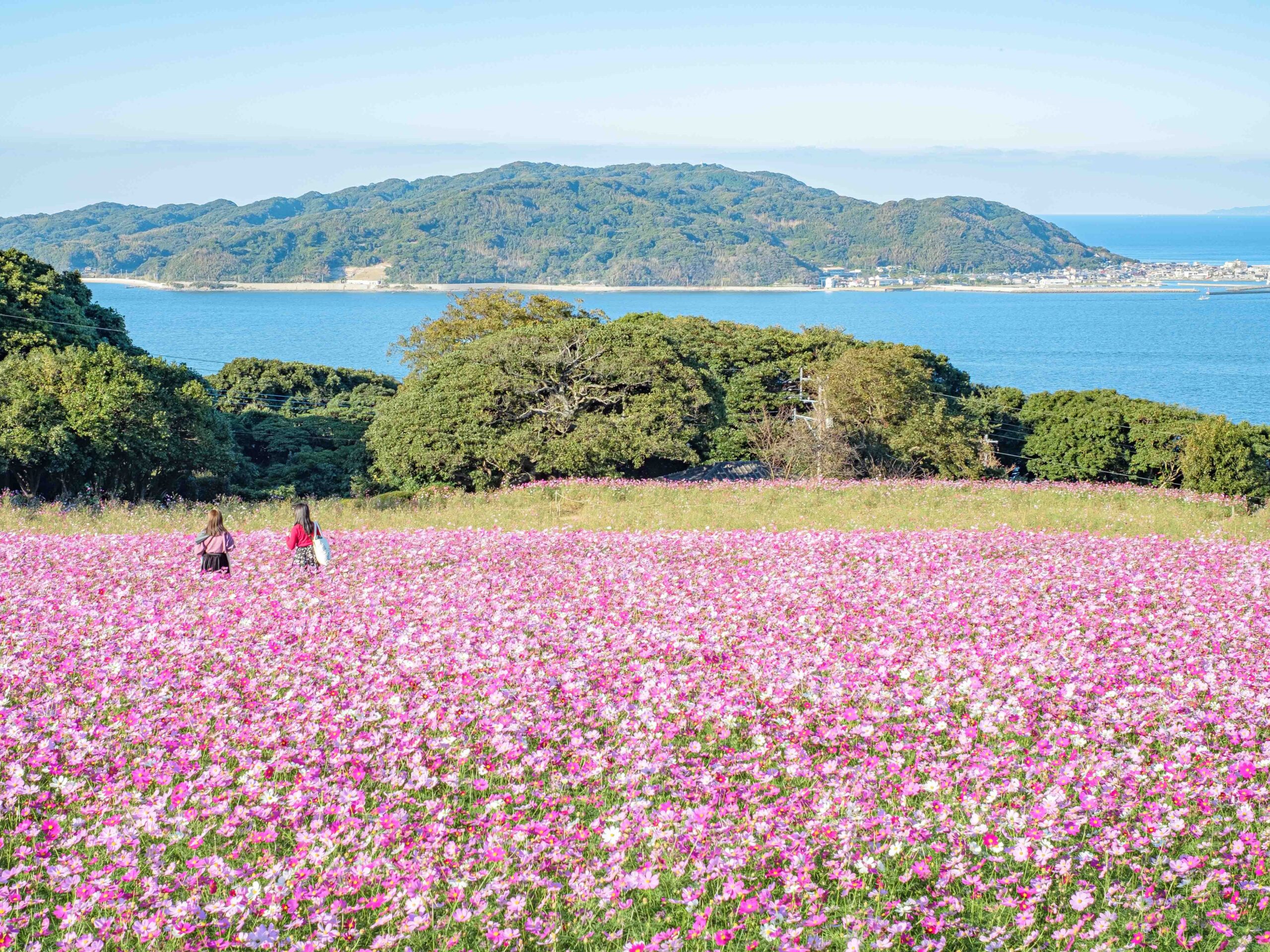 のこのしまアイランドパーク